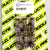 Drevbult i titan 30 mm 6-pack